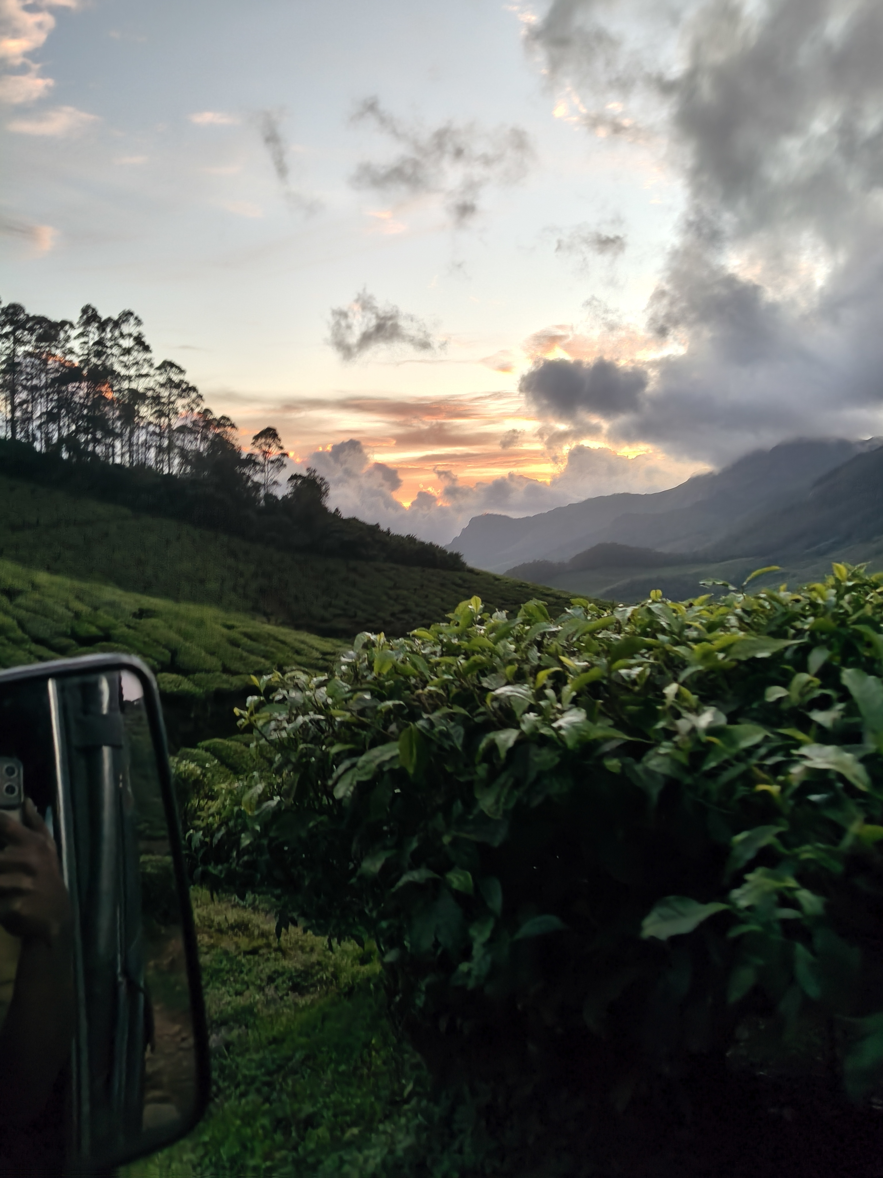 Kolukkumalai sunrise walking trail with tea estates and dramatic clouds